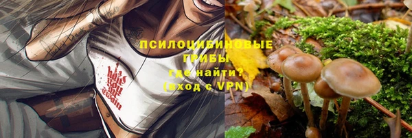 герыч Белокуриха