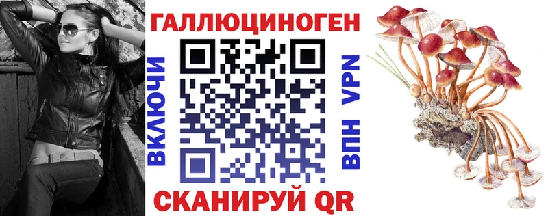 Галлюциногенные грибы MAGIC MUSHROOMS  OMG как зайти  Вуктыл 